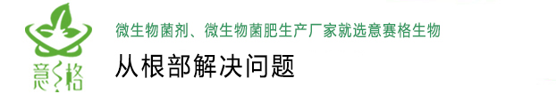 微生物菌劑,微生物菌肥,生物殺菌劑,微生物菌劑廠家-意賽格生物肥料