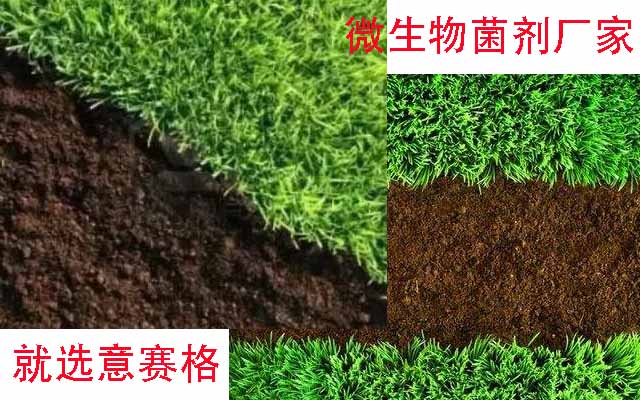 微生物菌劑有什么用？