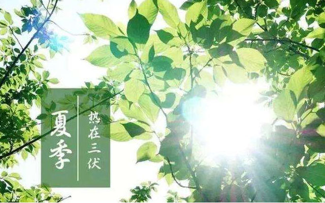 三伏天初伏已到，高溫悶熱，白粉病防治，微生物菌劑防治白粉病用起來