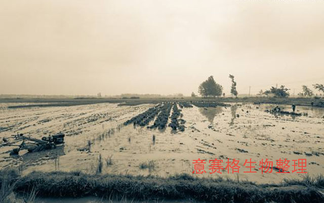 生物肥料在肥料史上的發展