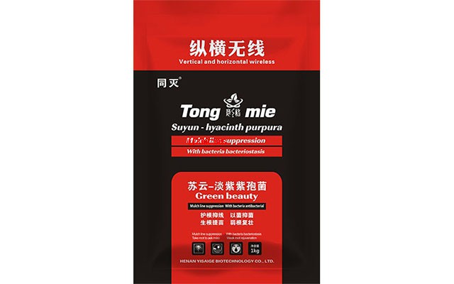 根結線蟲的癥狀與防治_意賽格微生物菌劑廠家為您介紹