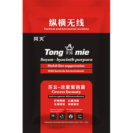 縱橫無線專治根結線蟲