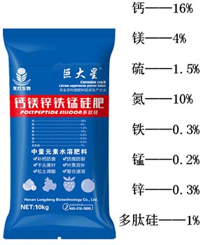 溫室番茄秋延晚無(wú)公害栽培技術(shù)
