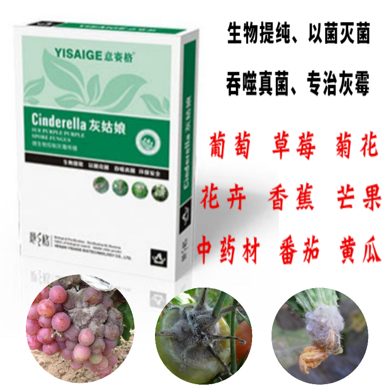 想打我個措手不及？灰霉病將不再反復!學習新技巧、巧防灰霉??！