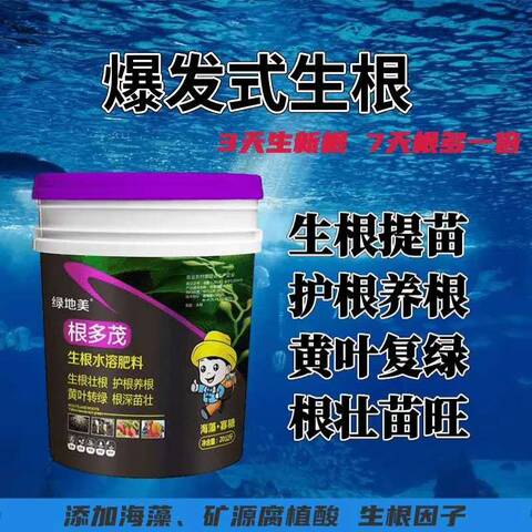 草莓生根慢怎么辦？用它