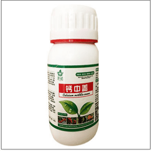 草莓缺鈣也會生病，怎么施用效果最好？