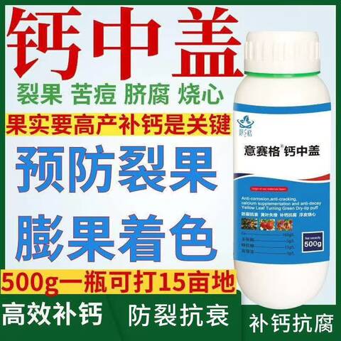 草莓缺鈣也會生病，怎么施用效果最好？